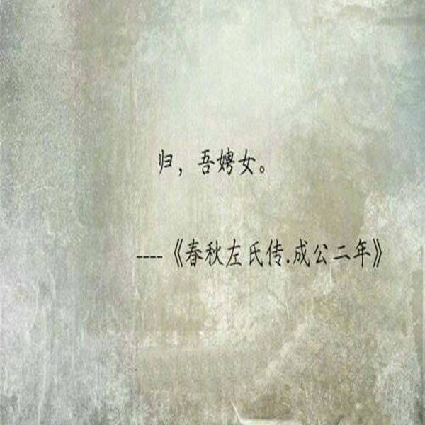 如何文气含蓄地表达 "我爱你".