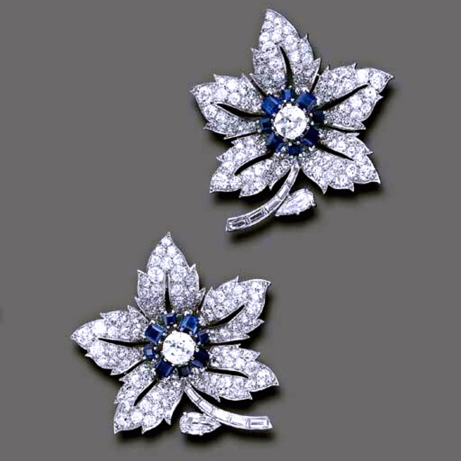 多丽丝·杜克,亿万富翁烟草继承人和慈善家…