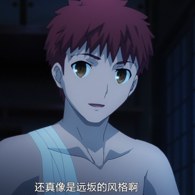 fate stay night卫宫士郎,archer