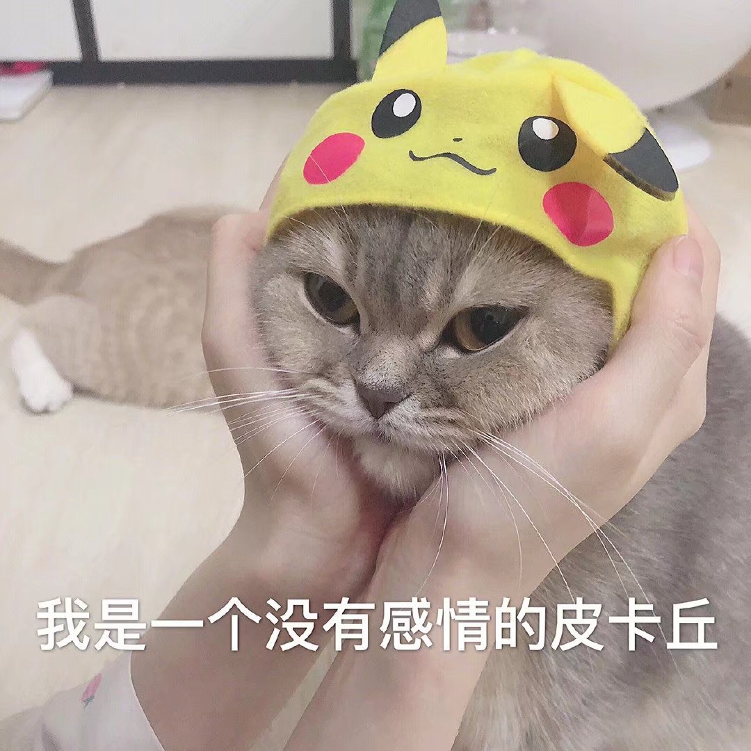 猫猫表情包