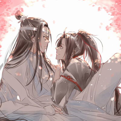 魔道祖师魏无羡蓝忘机天天