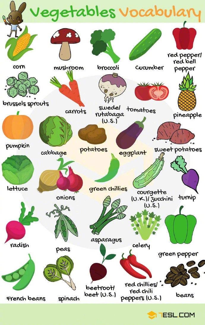 100种常见蔬菜的英文表达看图片记单词印象更深刻