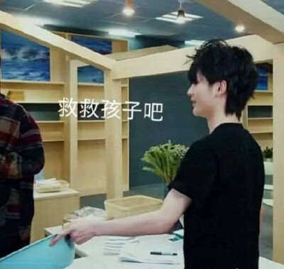 粥粥南表情包/无水印