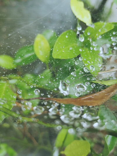 七月的风 八月的雨