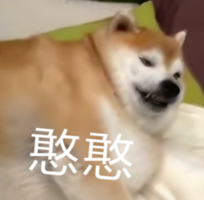 柴犬 狗子表情包 憨憨 胖 肥宅