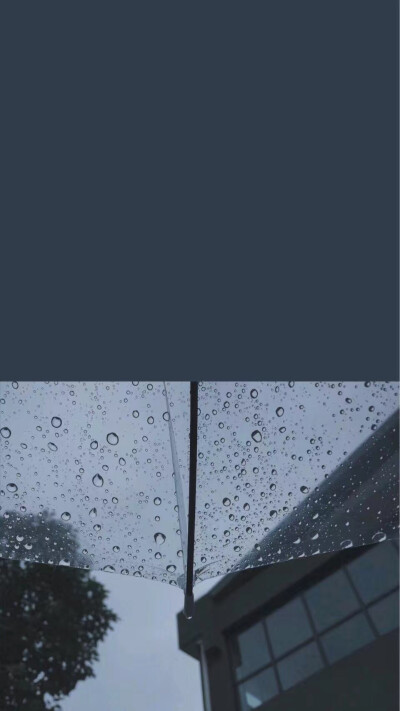 壁纸云小红书