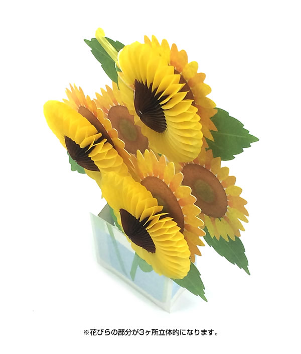 日本购回 夏天的向日葵卡片 美丽的蜂巢立体贺卡 送给阳光的他