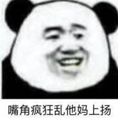 沙雕熊猫头表情包/网恋/直男/渣男