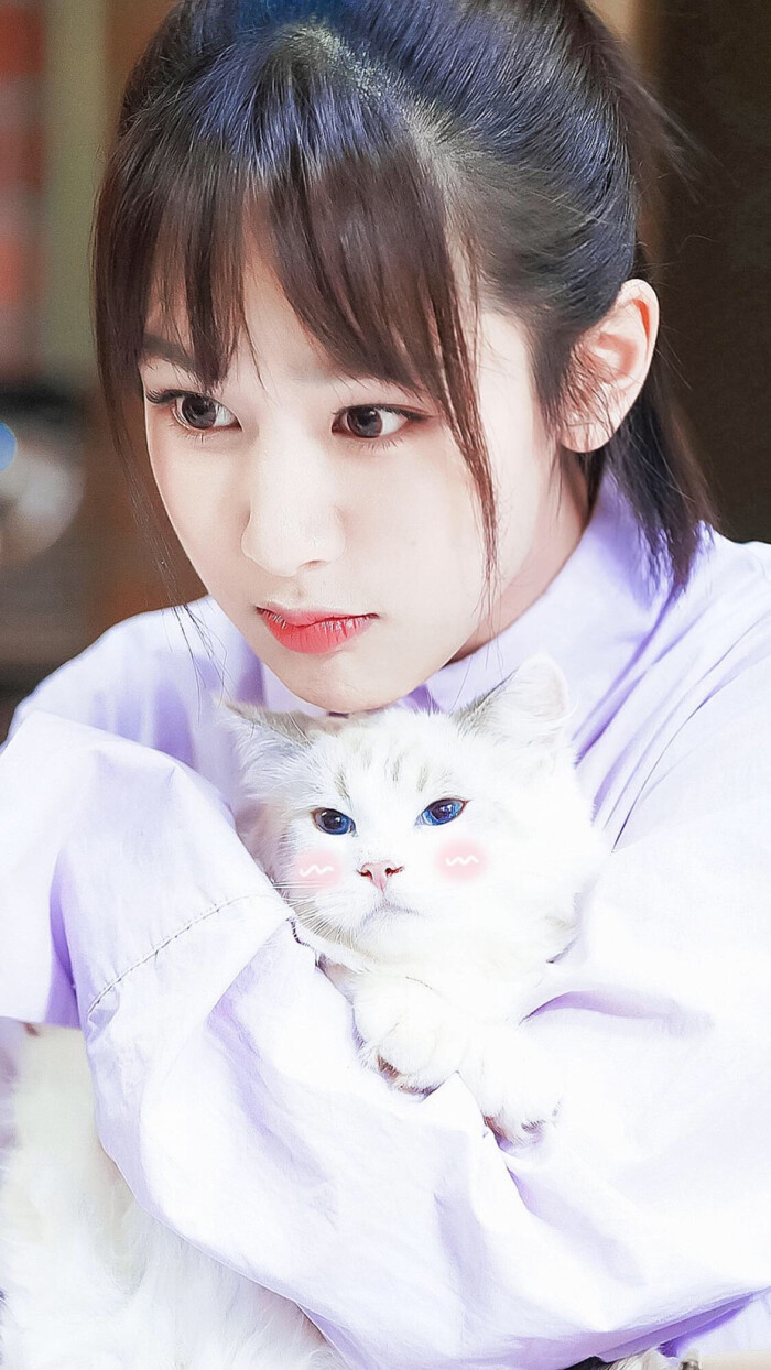 杨紫