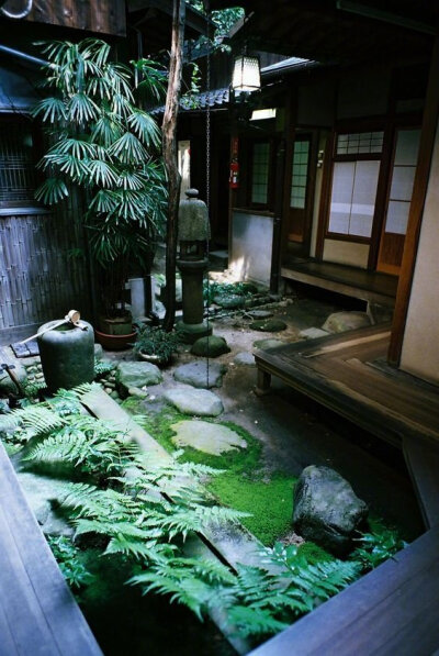 日式的庭院景观