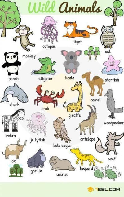 动物英文名大全,图文对照,让你一眼记住各种动物的英文表达!