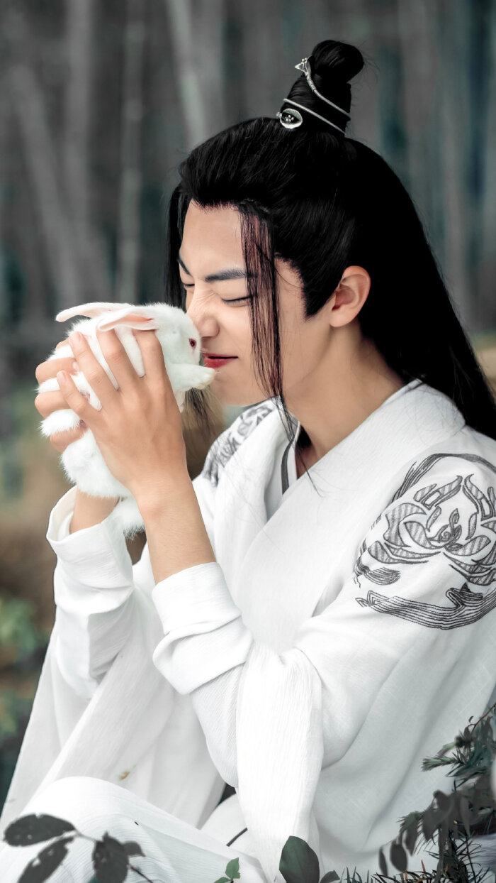 兔子,陈情令