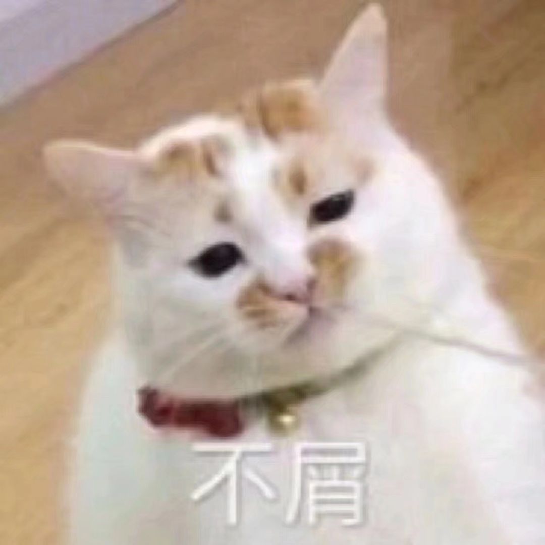 猫猫表情包