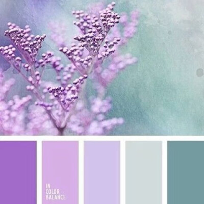 紫色配色