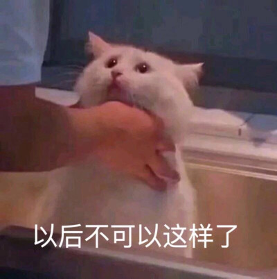 我以为我疯了