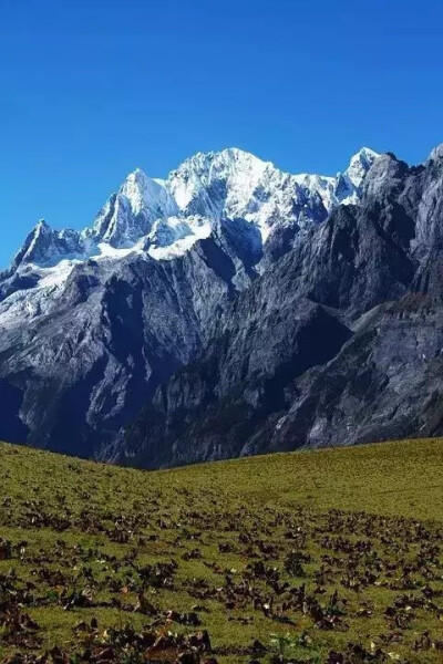 丽江玉龙雪山 堆糖,美图壁纸兴趣社区