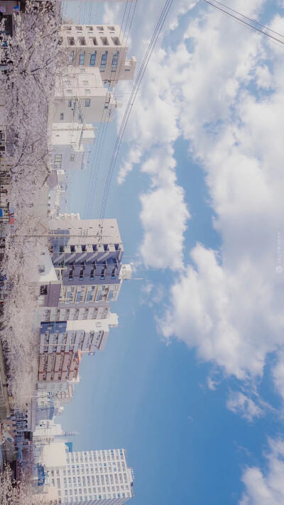 日系动漫壁纸樱花