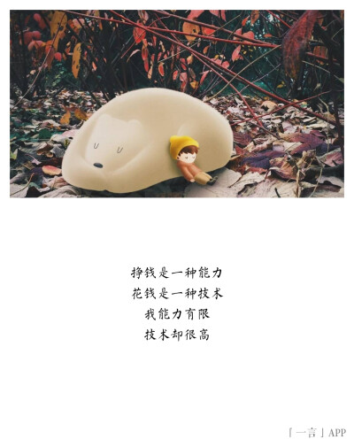 挣钱是一种能力花钱是一种技术我能力有限技术却很高