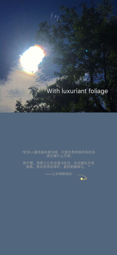 时至今日,你仍是我的光