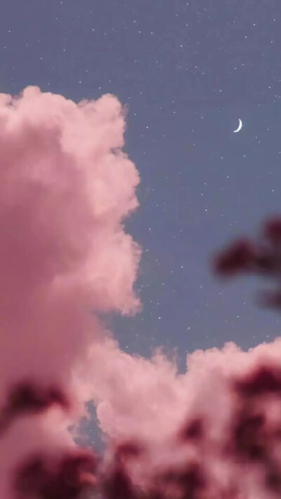 壁纸/风景壁纸/樱花壁纸/锁屏壁纸/高清壁纸/无水印壁纸/少女心壁纸