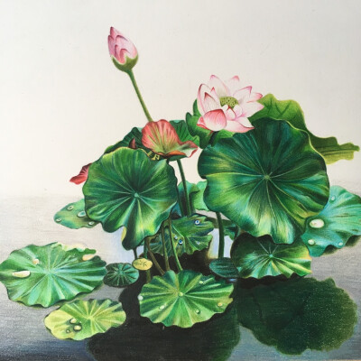 彩铅手绘装饰画