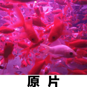 20190801150121_Hw4Ra.thumb.600_0.gif