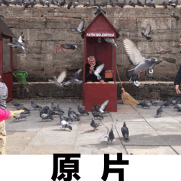 20190801150744_8mufa.thumb.600_0.gif