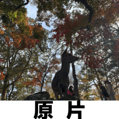 20190801150744_XkczK.thumb.600_0.gif