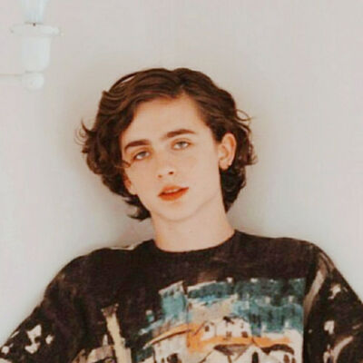 收集   点赞  评论  蒂莫西·柴勒梅德timothée chalamet,甜茶,头像