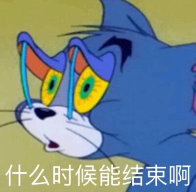 猫和老鼠 汤姆 表情包 什么时候结束