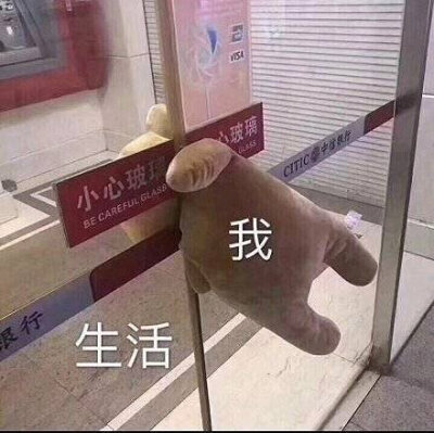 沙雕表情包合集