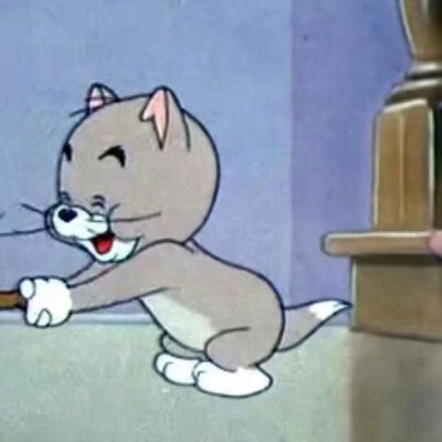 猫和老鼠头像