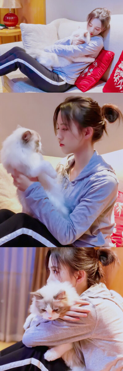 鞠婧祎和她猫