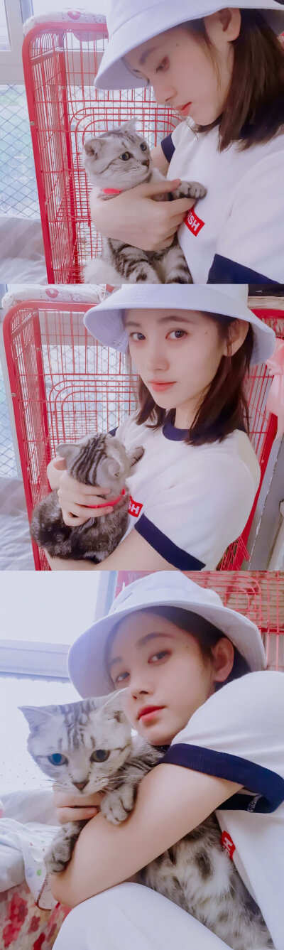 鞠婧祎和她猫