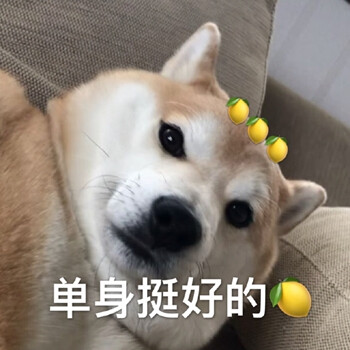 单身狗