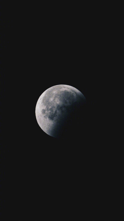 黑底,波斯菊,天体 壁纸背景