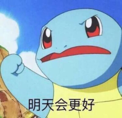 杰尼龟表情 快别丢人现眼了