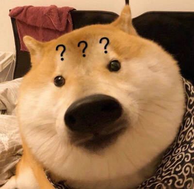 狗狗表情包 "?