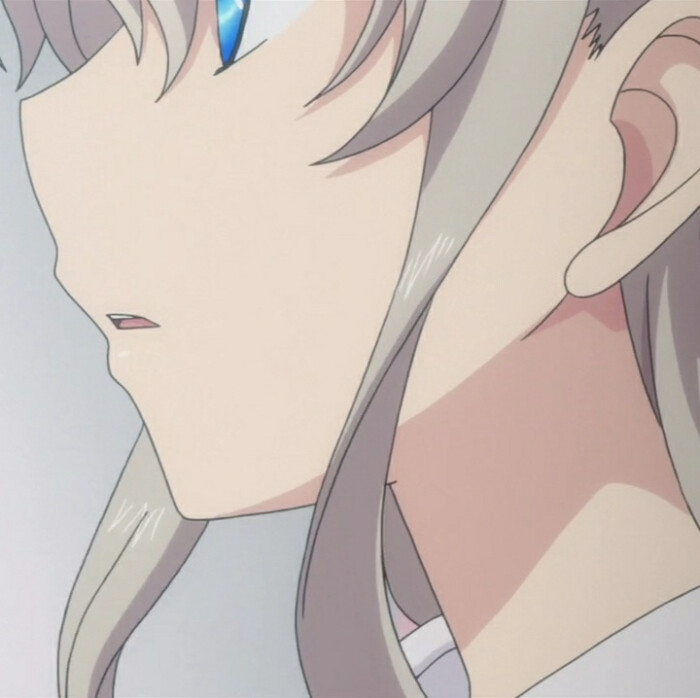 charlotte/夏洛特