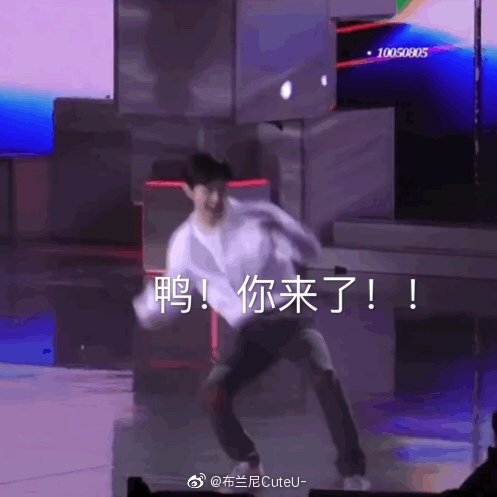 肖战表情包