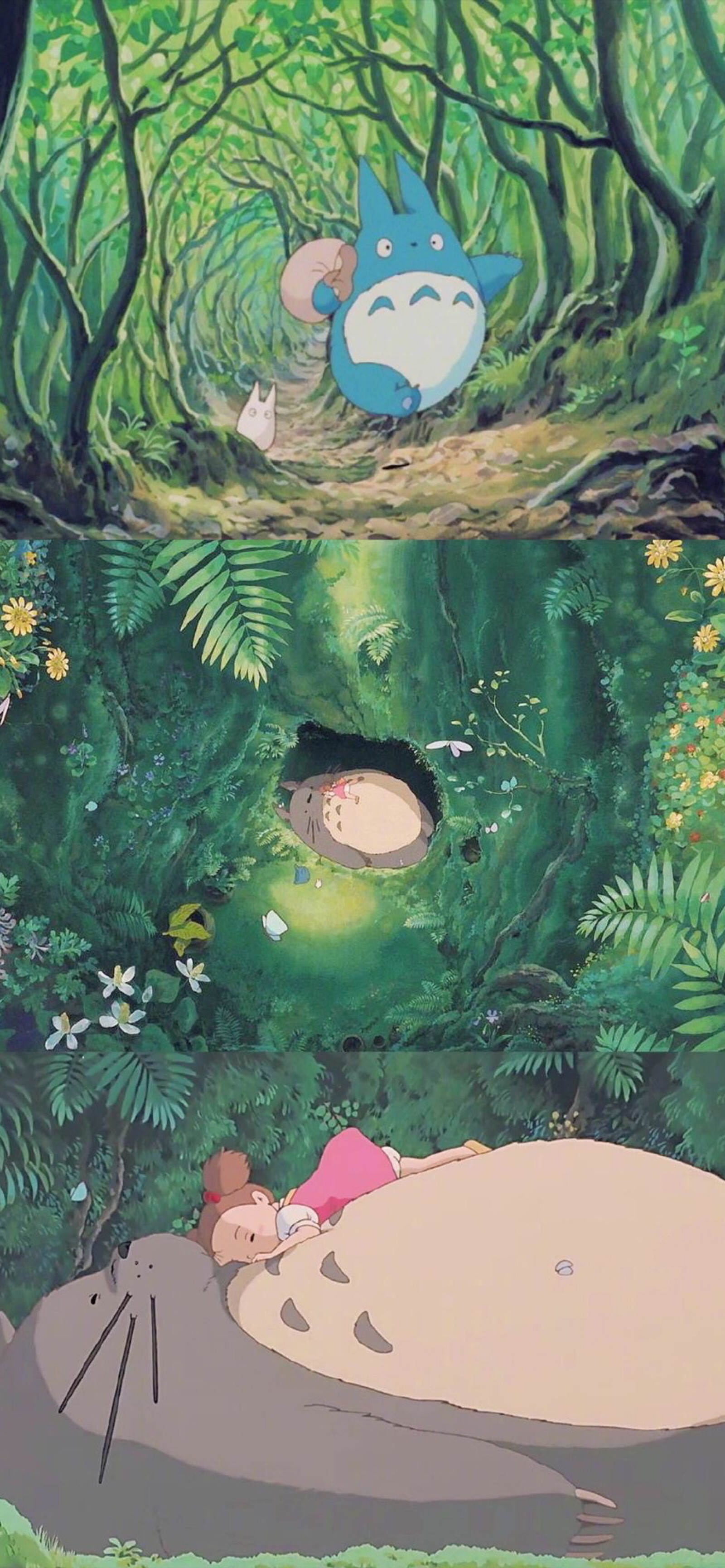 宫崎骏“龙猫”高清手机壁纸