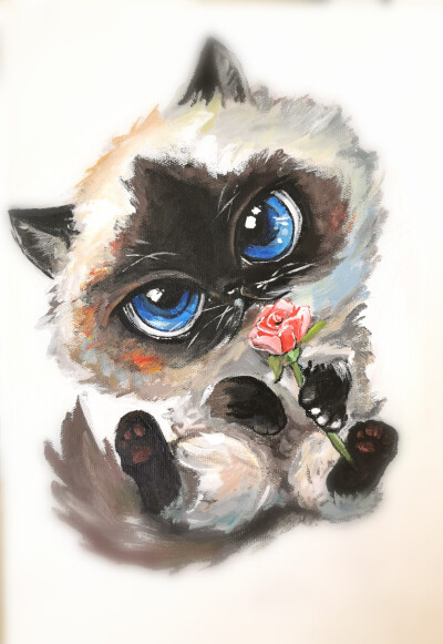 暹罗猫油画