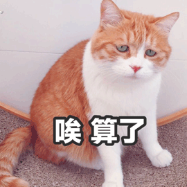 微笑 猫表情包