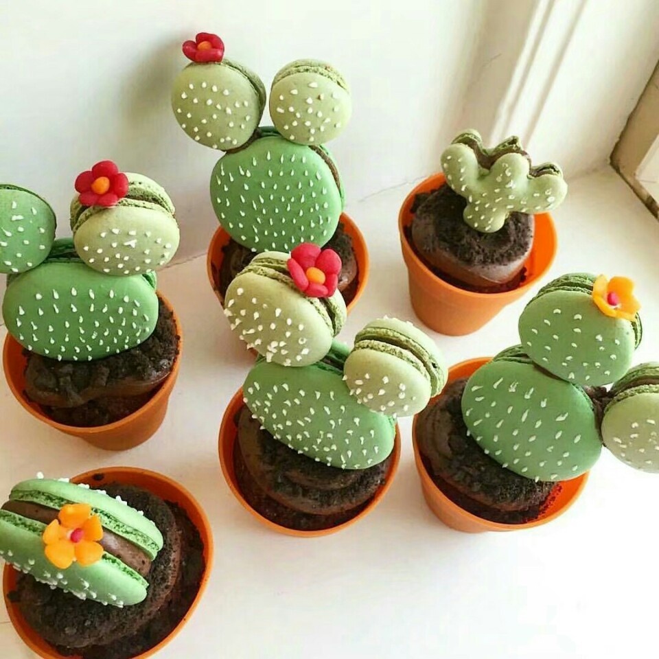 盆栽蛋糕