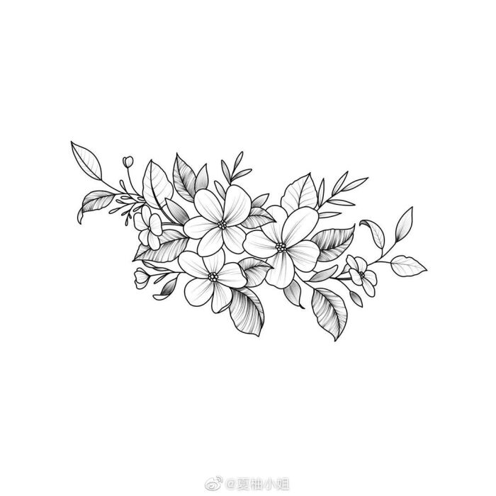 植物花卉线稿 黑白手绘 画画