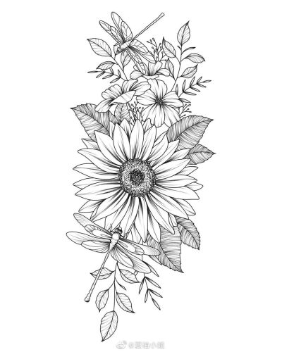 植物花卉线稿 黑白手绘 画画