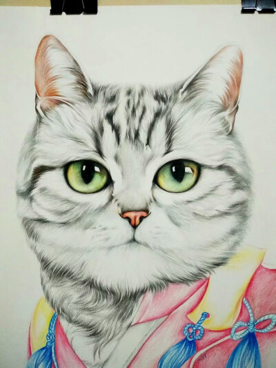 可爱猫咪彩铅手绘图