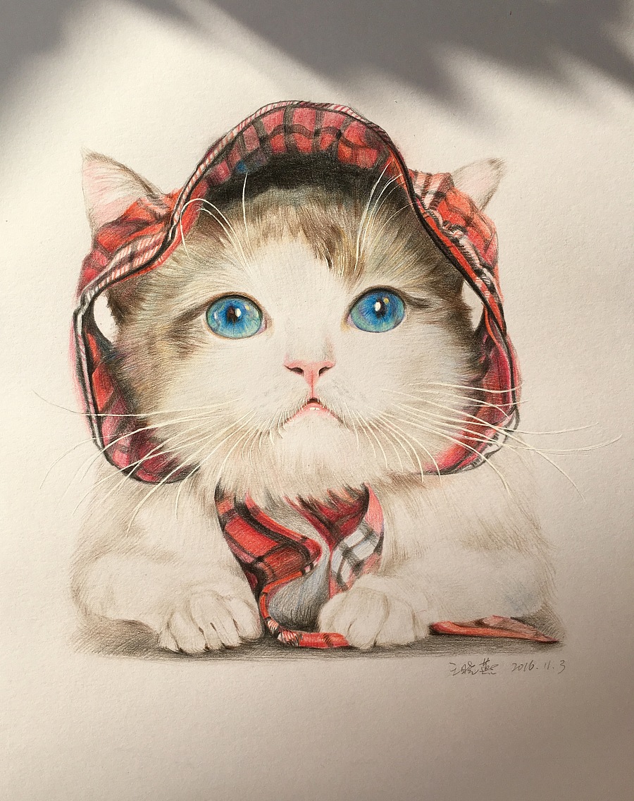 可爱猫咪彩铅手绘图