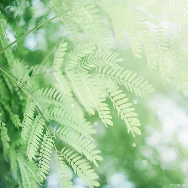 20190816180142_yjX4F.thumb.600_0.jpeg