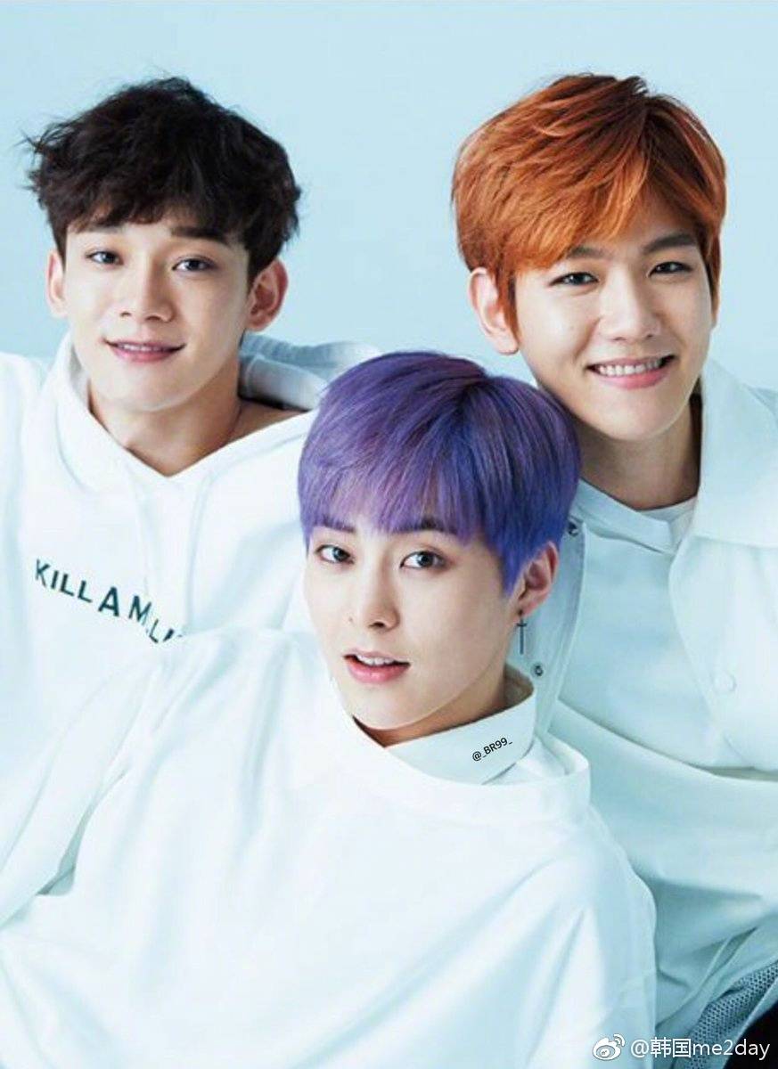 exo-cbx